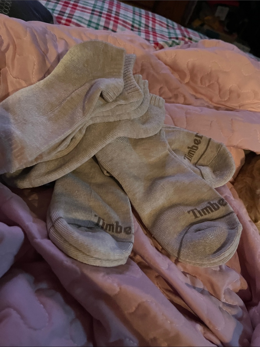 Timberland Men's No-Show Athletic Socks in Beige